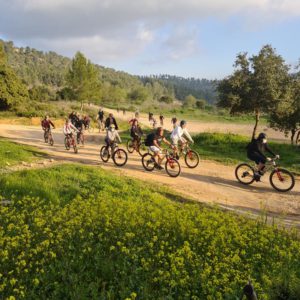 טיול ביער עמינדב עם תומקאר ואופניים